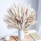 96PCS Natural Dried Pampas Grass Boho Home Decor Bouquet Phragmites Dried Flowers Bouquet